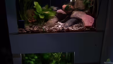 Becken 11632 von Chris D