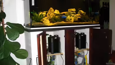 Becken 117 von Jürgen Baum