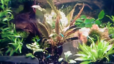 Becken 11740 von Beautiful87