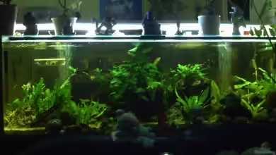 Becken 11822 von Enrico Bochmann