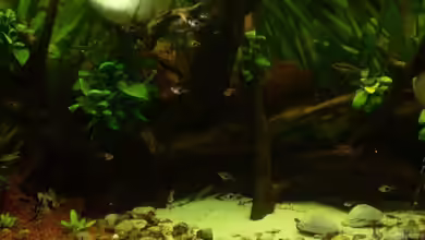 Becken 11841 von Bernd St.