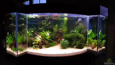 Becken 11953 von WSS