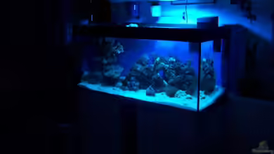 Becken 12012 von Chris D