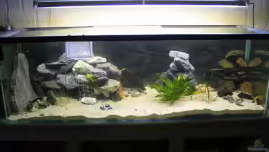 Becken 1205 von René Strässle