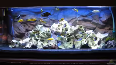 Becken 12071 von matze32