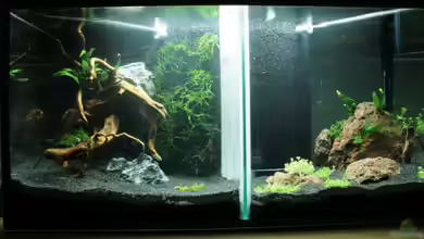 Becken 12089 von StefanE.