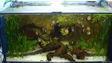 Becken 1222 von Anja Wittig