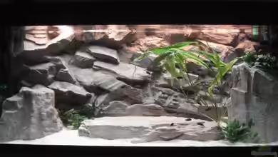 Becken 12231 von LuckyHimself