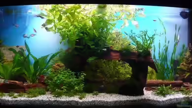 Becken 12241 von Sven Seidel