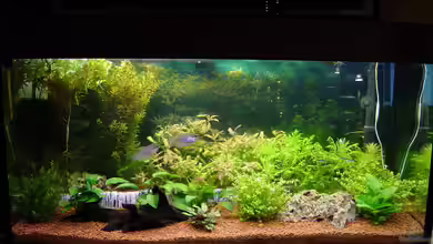 Becken 1235 von Sascha Suehrig