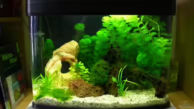 Becken 12438 von Benny Müller