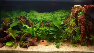 Becken 12454 von Monika und Roman J.