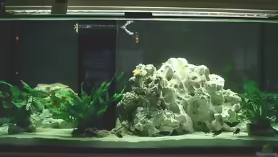 Becken 125 von Stefan Glaab