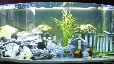 Becken 12537 von Denis Markesic