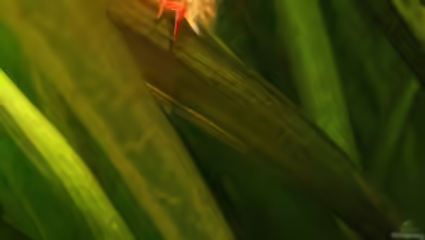 Becken 12635 von Marcel Stübs