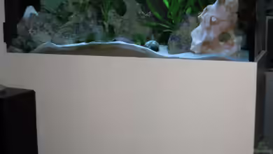 Becken 12695 von Meike_R