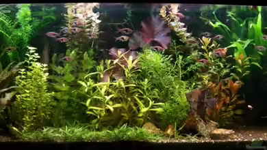 Becken 1272 von Stefan Winkler