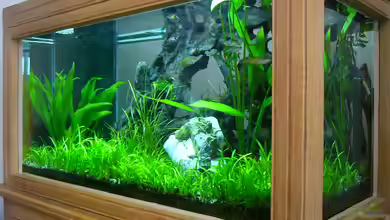 Becken 1279 von Oliver Gursky