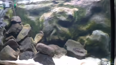 Becken 12835 von Marcel Szesny