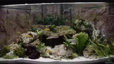 Becken 1288 von Sven Koch