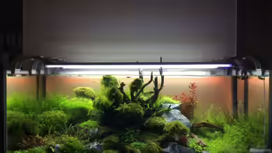 Becken 12887 von Dariua Waletzko