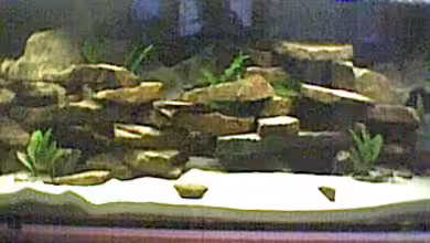 Becken 129 von Michael Ehrle