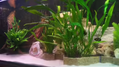 Becken 1292 von Vicky Gröbl