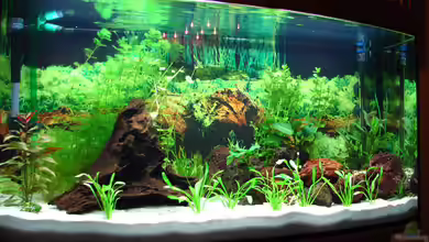 Becken 1295 von Nicole Welz