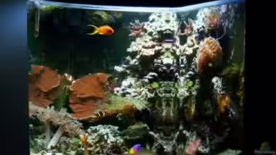 Becken 12980 von andi1