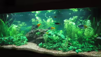 Becken 13041 von Günther Kopf