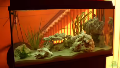 Becken 13057 von KingJosch