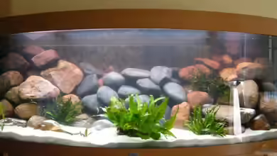 Becken 13090 von Torsten Uhland