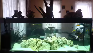 Becken 13105 von DoctorSatan