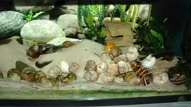 Becken 1314 von Volker Hebestreit