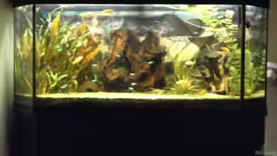 Becken 1316 von Christian Horn