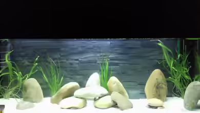 Becken 13190 von pikespik