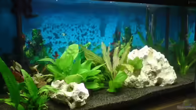 Becken 13209 von Maik+Lene