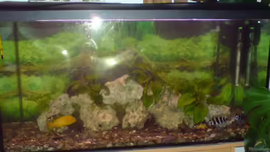 Becken 13399 von Christian Bäcker