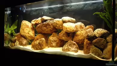 Becken 1340 von Karsten Michalski