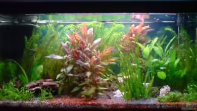 Becken 13441 von perkolein