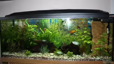 Becken 13460 von Sabrina Mertes