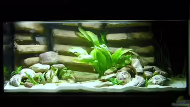 Becken 13510 von Markus M.