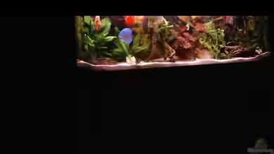 Becken 13511 von Uwe Hein