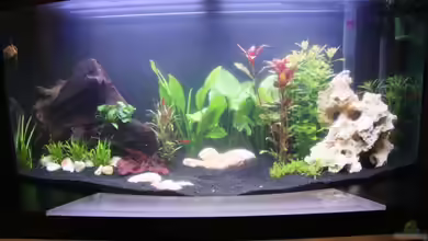 Becken 13589 von Nicki83