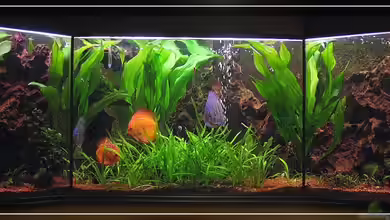 Becken 13613 von Holger Rauhe