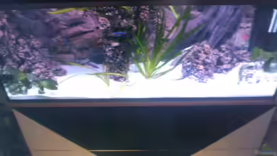 Becken 13770 von Andy O.