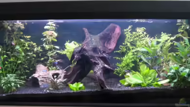 Becken 13833 von SirPaddy