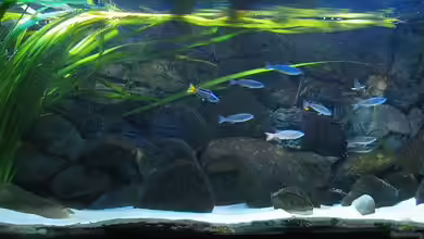 Becken 1389 von Carsten Ziß