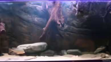 Becken 1390 von Christian Daniel