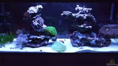 Becken 14005 von Salzeritis